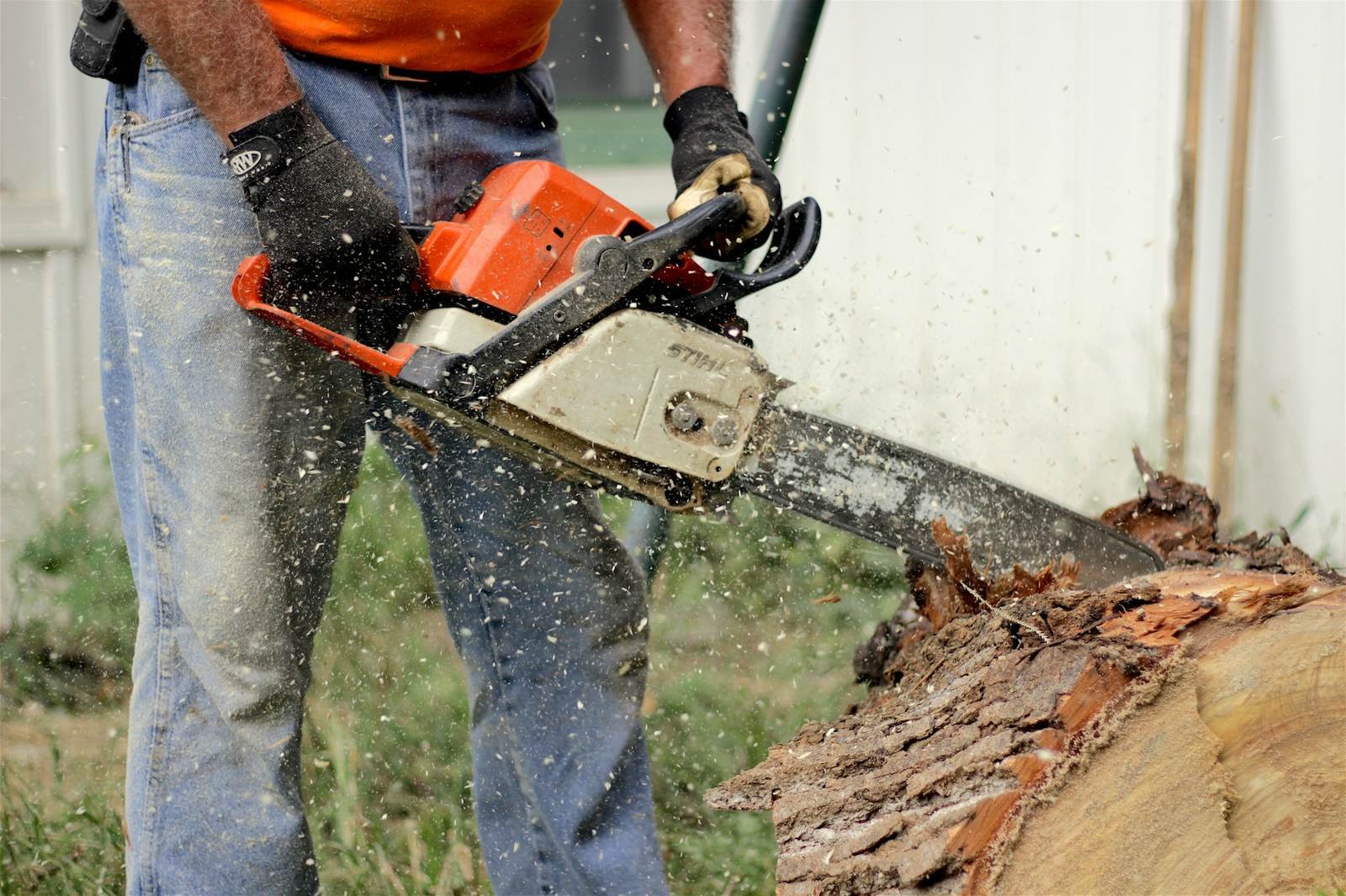Chainsaw cutting through a log