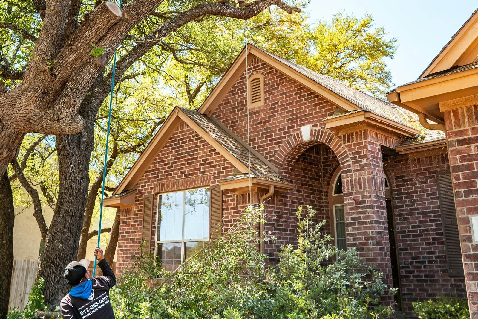 Tree service worker at a large tree beside a brick house