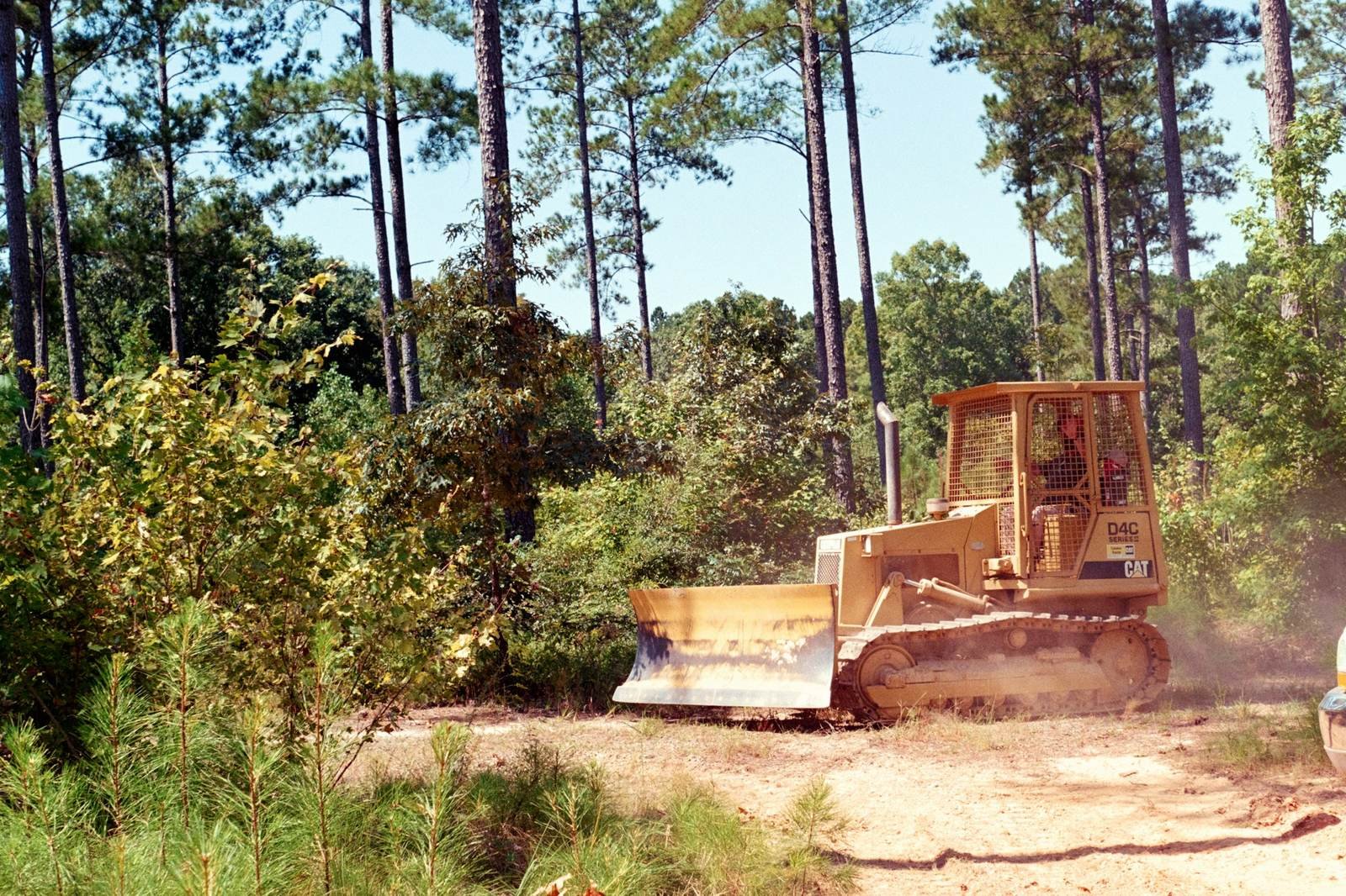 Small bulldozer clearing underbrush on a wooded lot with tall pines