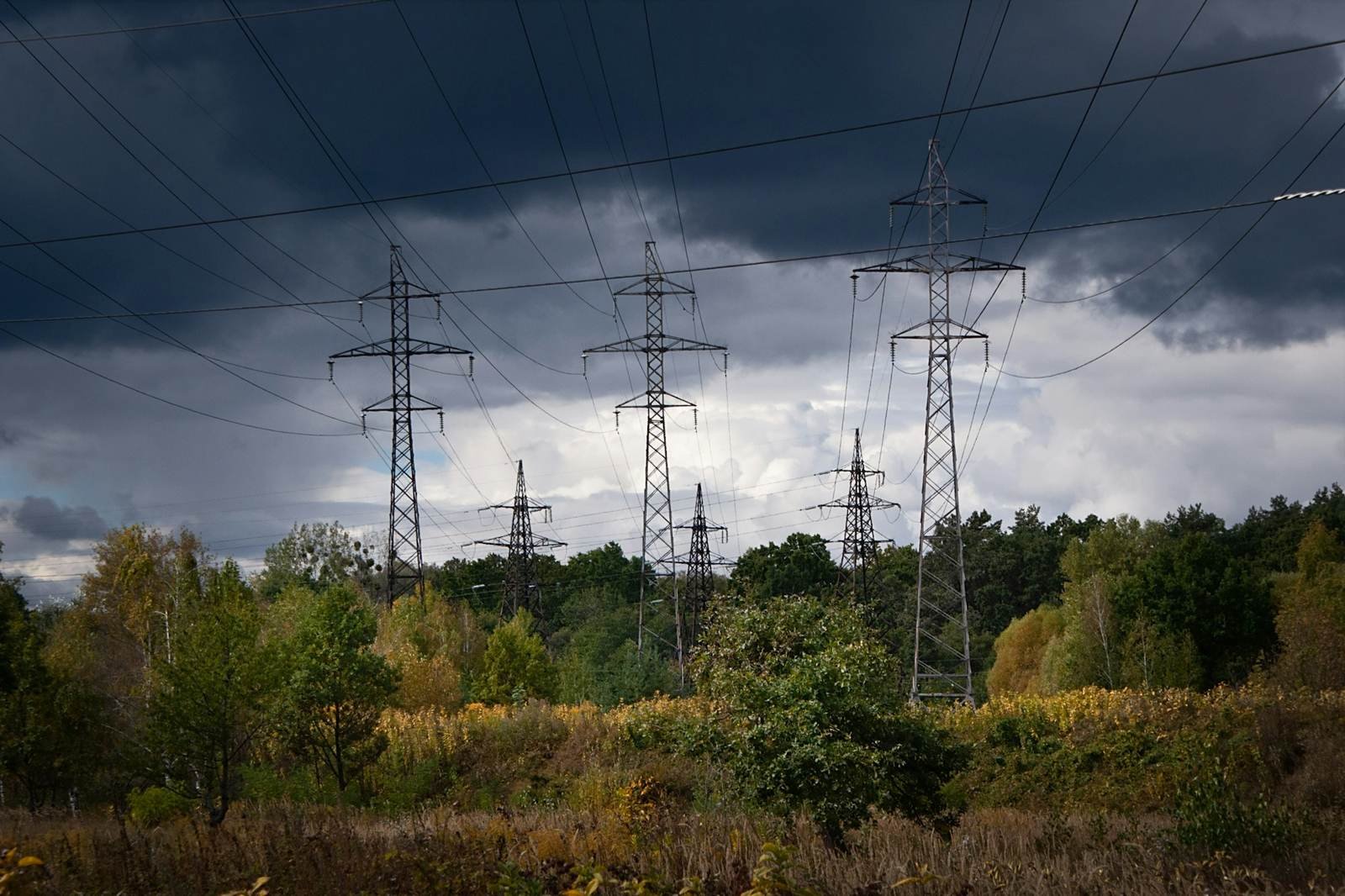 Power lines over trees under dark storm clouds